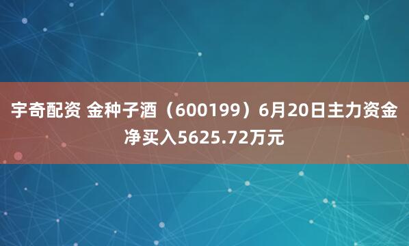 宇奇配资 金种子酒（600199）6月20日主力资金净买入5625.72万元