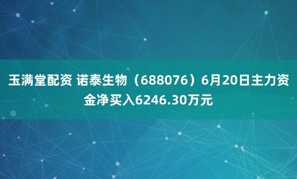 玉满堂配资 诺泰生物（688076）6月20日主力资金净买入6246.30万元