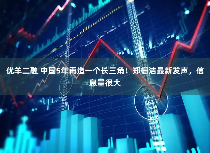 优羊二融 中国5年再造一个长三角！郑栅洁最新发声，信息量很大