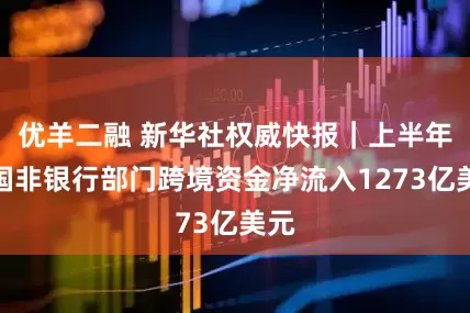 优羊二融 新华社权威快报｜上半年我国非银行部门跨境资金净流入1273亿美元