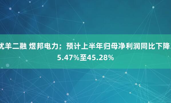 优羊二融 煜邦电力：预计上半年归母净利润同比下降35.47%至45.28%