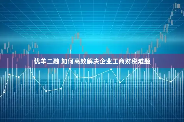 优羊二融 如何高效解决企业工商财税难题