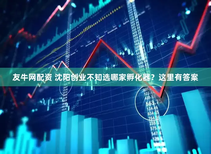 友牛网配资 沈阳创业不知选哪家孵化器？这里有答案